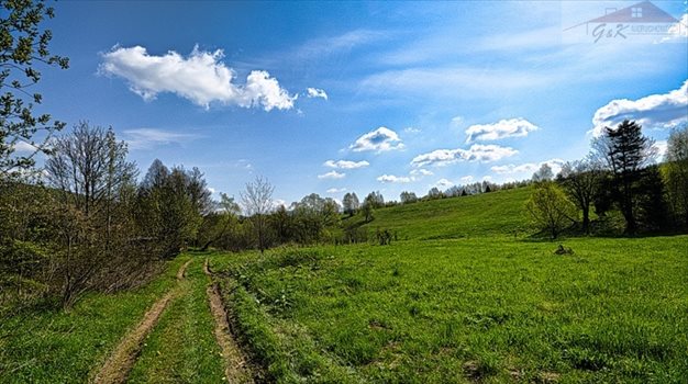 Działka inna na sprzedaż Przysłup 2 079m2 Foto 5