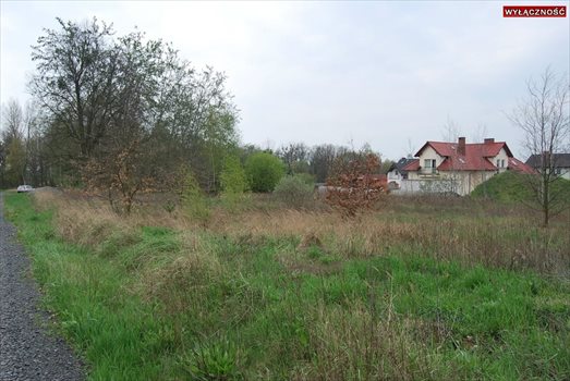 Działka budowlana na sprzedaż Skorogoszcz 743m2 Foto 4