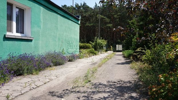 Dom na sprzedaż Daszewice, Szkolna 105m2 Foto 11