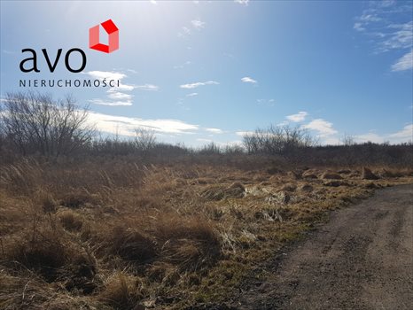 Działka inwestycyjna na sprzedaż Gdańsk, Lipce 3 792m2 Foto 5