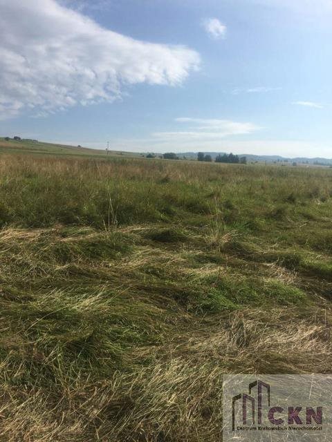 Działka budowlana na sprzedaż Nowy Targ, Ustronie 776m2 Foto 3