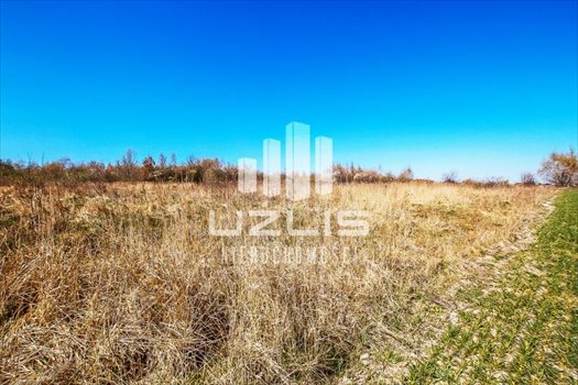 Działka inna na sprzedaż Starogard Gdański, Rolna 2 269m2 Foto 9