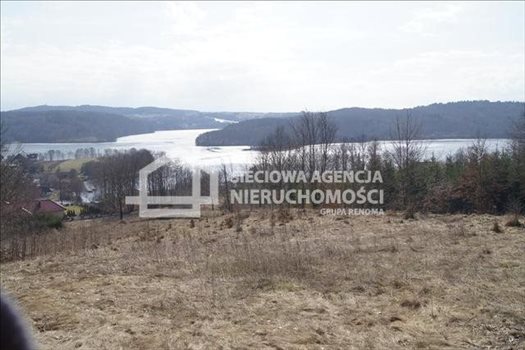 Działka budowlana na sprzedaż Ostrzyce 3 221m2 Foto 4