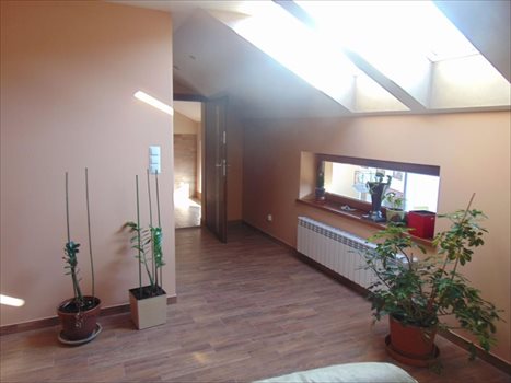 Lokal użytkowy na wynajem Strzyżów, Prusa 80m2 Foto 2