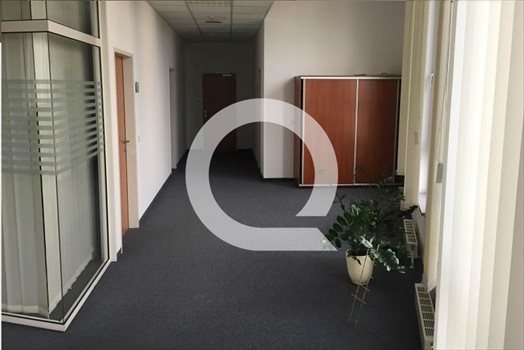 Lokal użytkowy na wynajem Gdynia, Działki Leśne 275m2 Foto 6