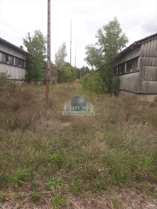 Lokal użytkowy na sprzedaż Piasecznik 61 443m2 Foto 5