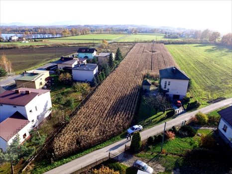 Działka budowlana na sprzedaż Dankowice, Spokojna 3 787m2 Foto 5