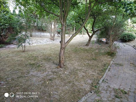 Działka budowlana na sprzedaż Gliwice, Brzezinka, ul. Nowosądecka 1 155m2 Foto 4