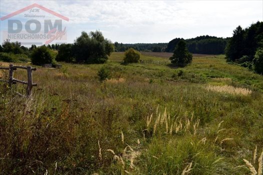 Działka inna na sprzedaż Gudowo, Jezioro, Kościół, Las, Plac zabaw, Przystanek auto 7 892m2 Foto 7