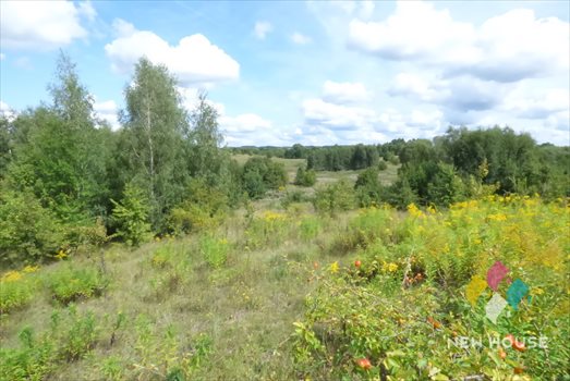 Działka inwestycyjna na sprzedaż Ramsowo 40 004m2 Foto 9