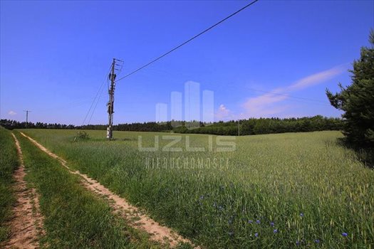 Działka inna na sprzedaż Klonówka, Las, Rzeka 101 600m2 Foto 9