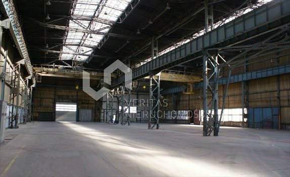 Lokal użytkowy na sprzedaż Łojki 6 000m2 Foto 1