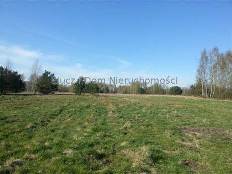 Działka rolna na sprzedaż Prace Małe 30 000m2 Foto 2