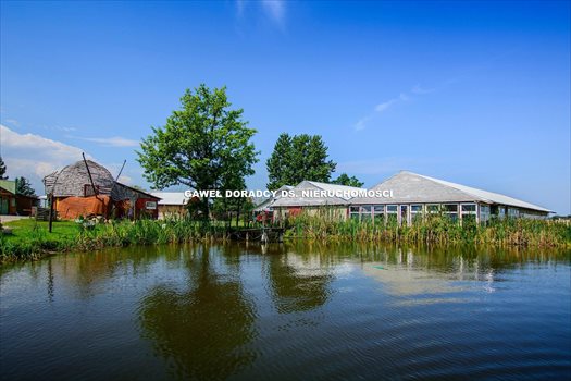 Lokal użytkowy na sprzedaż Krasin 2 312m2 Foto 6