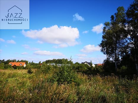 Działka budowlana na sprzedaż Dębki 1 323m2 Foto 4