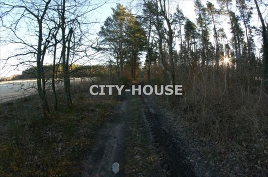 Działka inna na sprzedaż Szczenurze 1 400m2 Foto 5