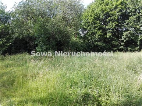 Działka inna na sprzedaż Wałbrzych, Szczawienko 10 184m2 Foto 5