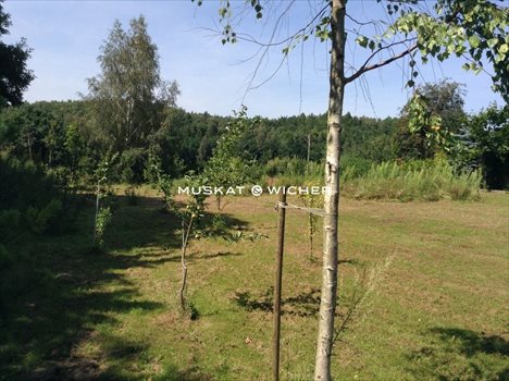 Działka inwestycyjna na sprzedaż Gdynia, Dąbrowa 1 662m2 Foto 1