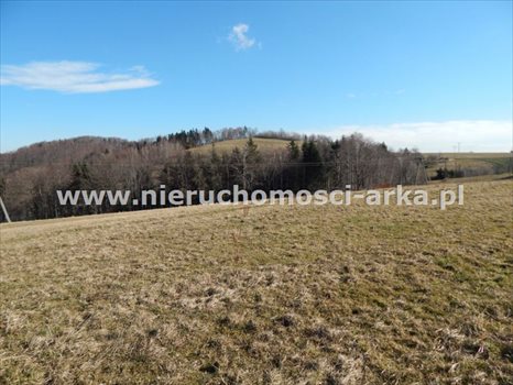 Działka budowlana na sprzedaż Skrzydlna 5 400m2 Foto 2