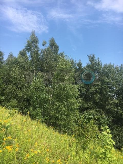 Działka rolna na sprzedaż Parchatka 10 003m2 Foto 6