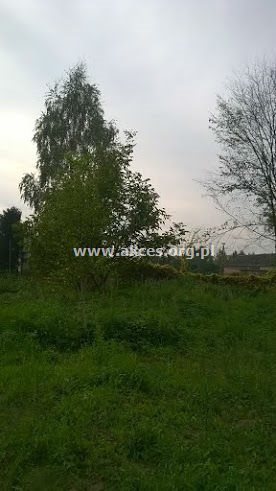 Działka budowlana na sprzedaż Łoś, Łoś, Polna 2 122m2 Foto 4