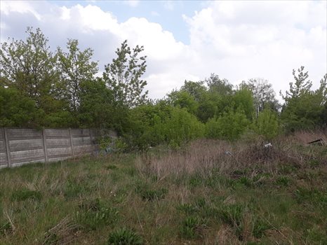 Działka budowlana na sprzedaż Warszawa, Wawer, Mrówcza 39f 1 260m2 Foto 4