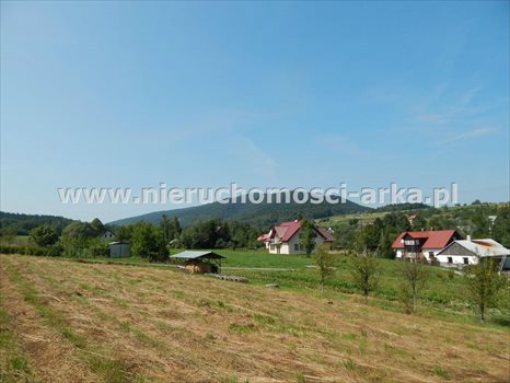 Działka budowlana na sprzedaż Dobra 1 500m2 Foto 3