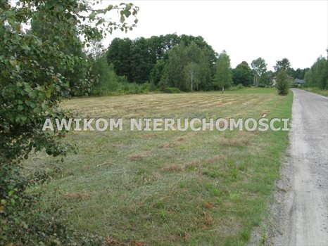 Działka budowlana na sprzedaż Makówka 2 161m2 Foto 3