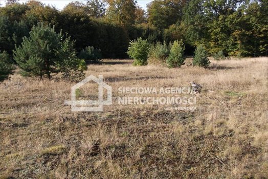 Działka rolna na sprzedaż Sepiot 43 700m2 Foto 1
