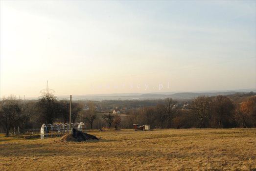 Działka inna na sprzedaż Gaj 8 000m2 Foto 7