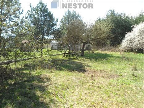 Działka inna na sprzedaż Nowy Prażmów 2 246m2 Foto 6