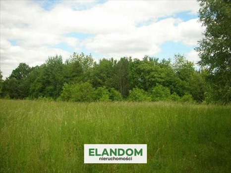 Działka budowlana na sprzedaż Józefów, Górki 2 005m2 Foto 3