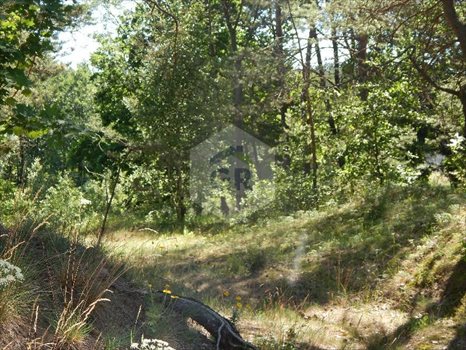 Działka rekreacyjna na sprzedaż Kościerzyna, Kościerzyna, Plebanka 2 532m2 Foto 6