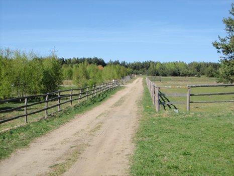 Działka budowlana na sprzedaż Dąbrówka, Leśna 1 583m2 Foto 3