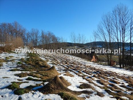 Działka budowlana na sprzedaż Wilczyce 1 900m2 Foto 3