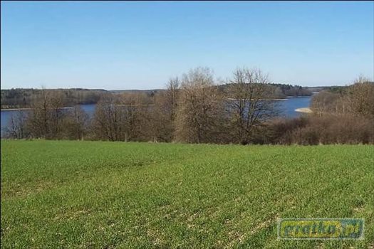 Działka budowlana na sprzedaż Ramsowo, Ramsowo, Tumiany 3 010m2 Foto 1
