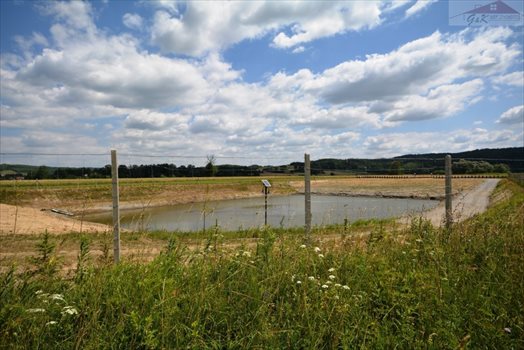 Działka rekreacyjna na sprzedaż Bachórzec 3 600m2 Foto 9