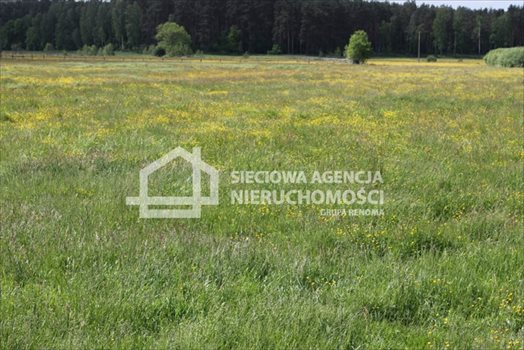 Działka budowlana na sprzedaż Lubowidz 1 005m2 Foto 5
