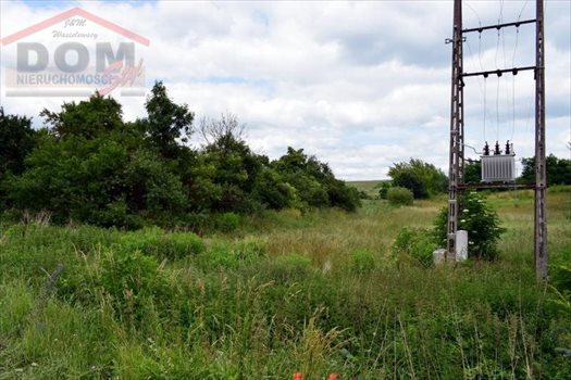 Działka budowlana na sprzedaż Gudowo, Jezioro, Las, Przystanek autobusowy, Rzeka, Tereny 5 050m2 Foto 9