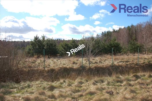 Działka budowlana na sprzedaż Wrzeście 1 430m2 Foto 1