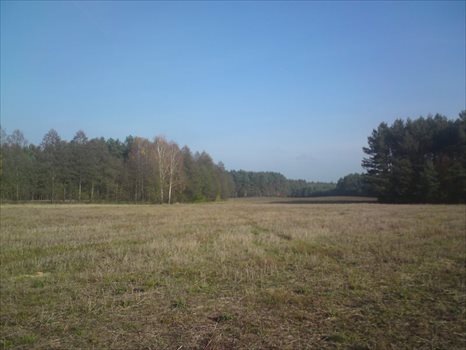 Działka siedliskowa na sprzedaż Krucz, Gminna 1 400m2 Foto 3