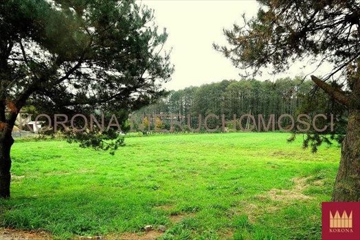 Działka budowlana na sprzedaż Rybnik 3 990m2 Foto 2