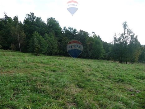 Działka budowlana na sprzedaż Rabka-Zdrój 5 650m2 Foto 5