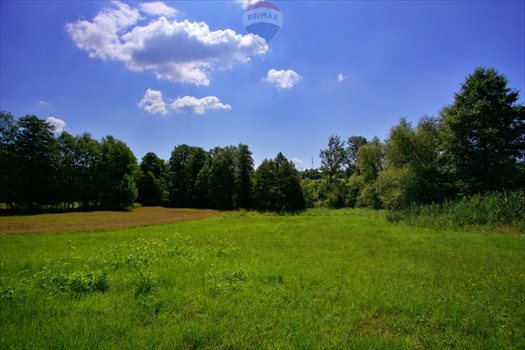 Działka budowlana na sprzedaż Roztropice 3 500m2 Foto 8