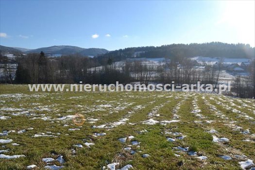 Działka budowlana na sprzedaż Wilczyce 2 300m2 Foto 3