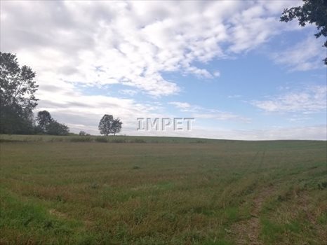 Działka rolna na sprzedaż Dłużyna Dolna 17 069m2 Foto 2