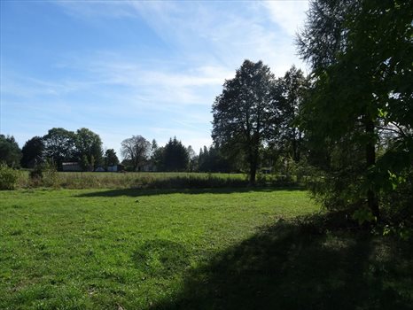 Działka inna na sprzedaż Osęka 7 600m2 Foto 11