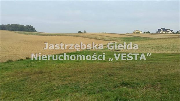 Działka inna na sprzedaż Jastrzębie-Zdrój, Bzie Zameckie 1 200m2 Foto 1