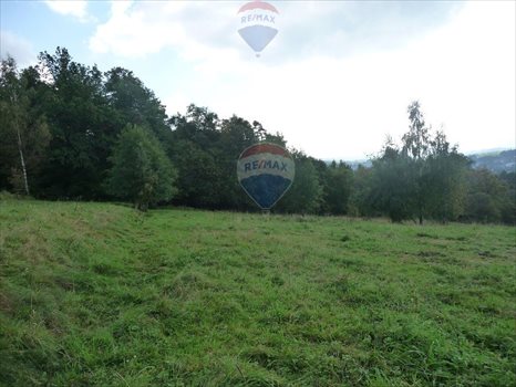 Działka budowlana na sprzedaż Rabka-Zdrój 5 650m2 Foto 3