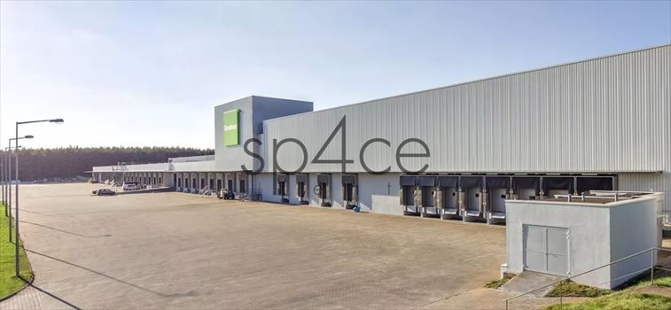 Lokal użytkowy na wynajem Zgorzelec 30 250m2 Foto 4